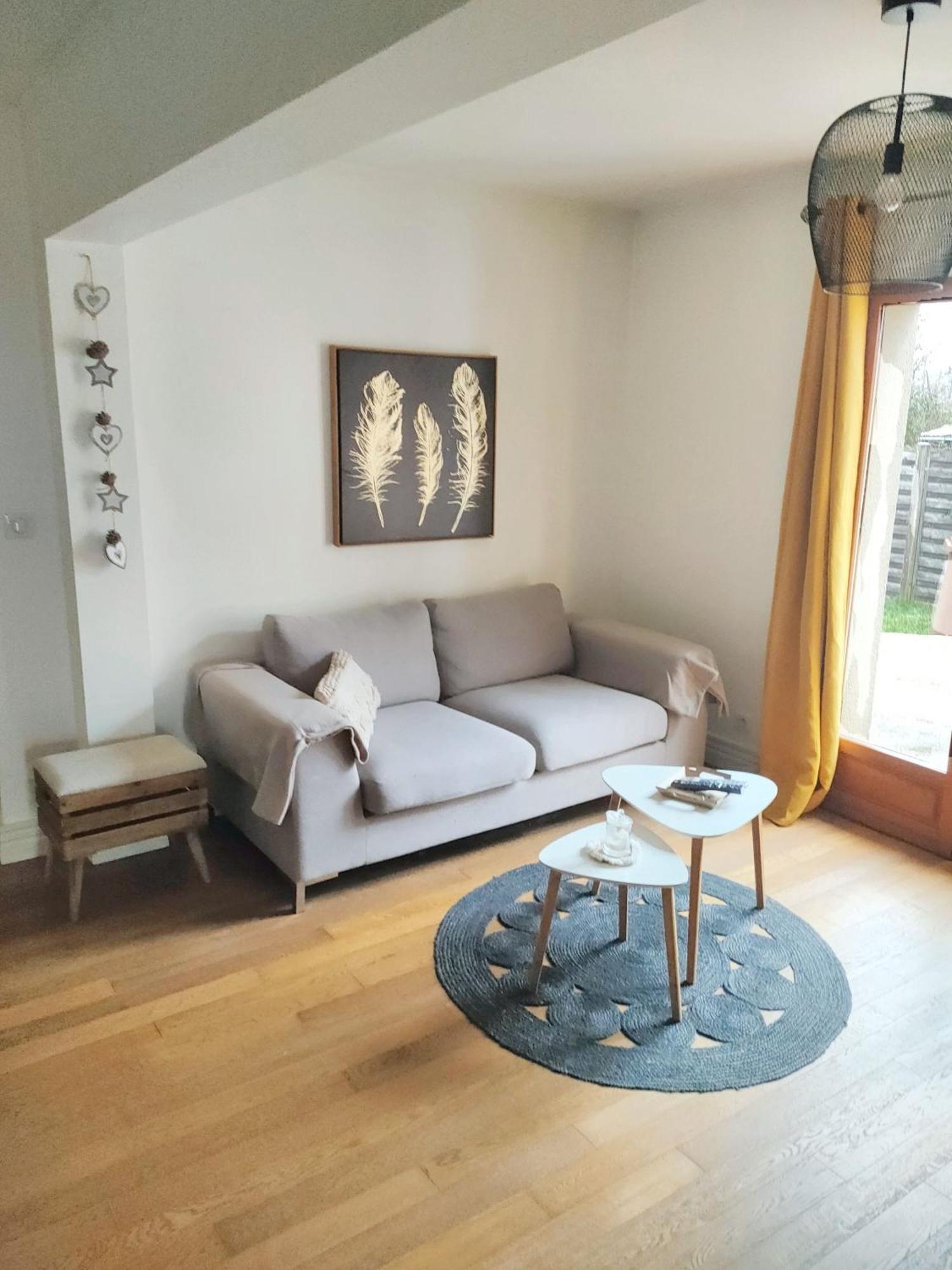 Maison Charmante A Vierzon Avec Jardin Prive Экстерьер фото